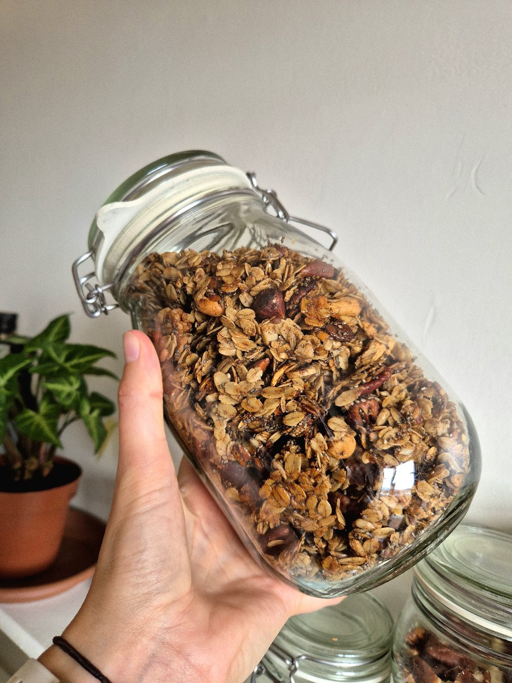 Every Day Granola Recipe
